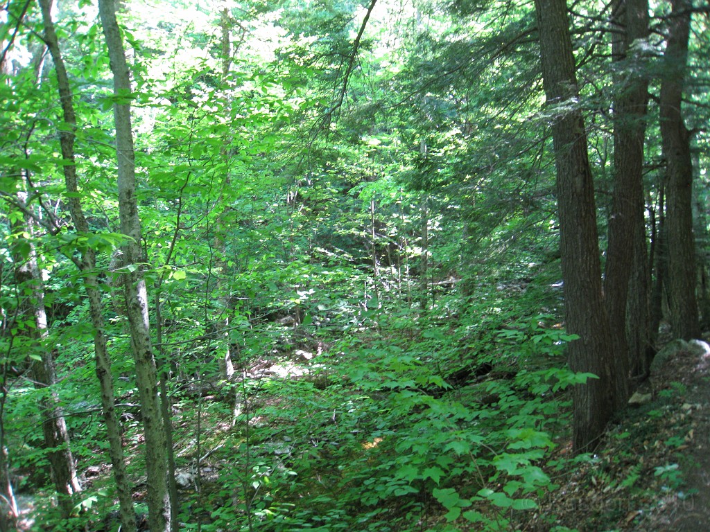 Mt Cardigan NH 2010 0075.jpg - Mt. Cardigan in New Hampshire. Summited on May 25, 2010. There are numerous trails to the peak... I had to pick the extremely difficult one. The views were worth it.